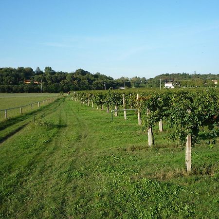 Agriturismo Lupo Bianco モンツァンバーノ エクステリア 写真